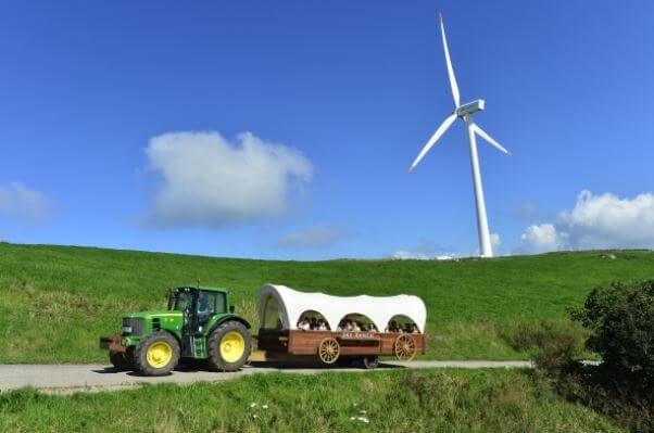 하늘목장트랙터마차