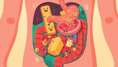 우리몸-소화과정