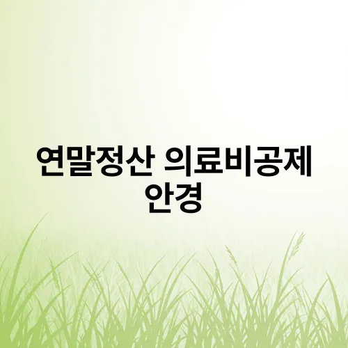 연말정산 의료비공제 안경