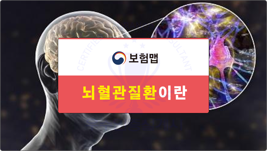뇌혈관질환보험