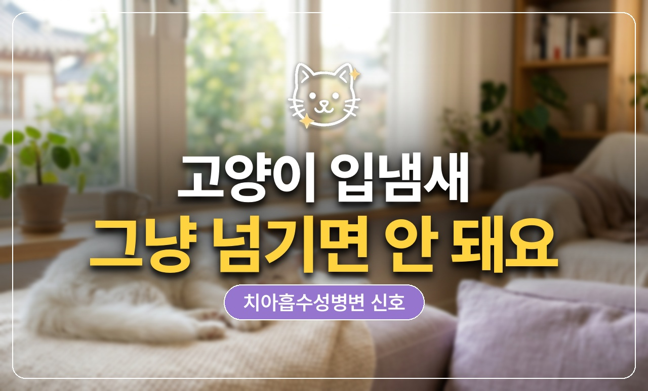 고양이 입냄새 치아흡수성병변 썸네일