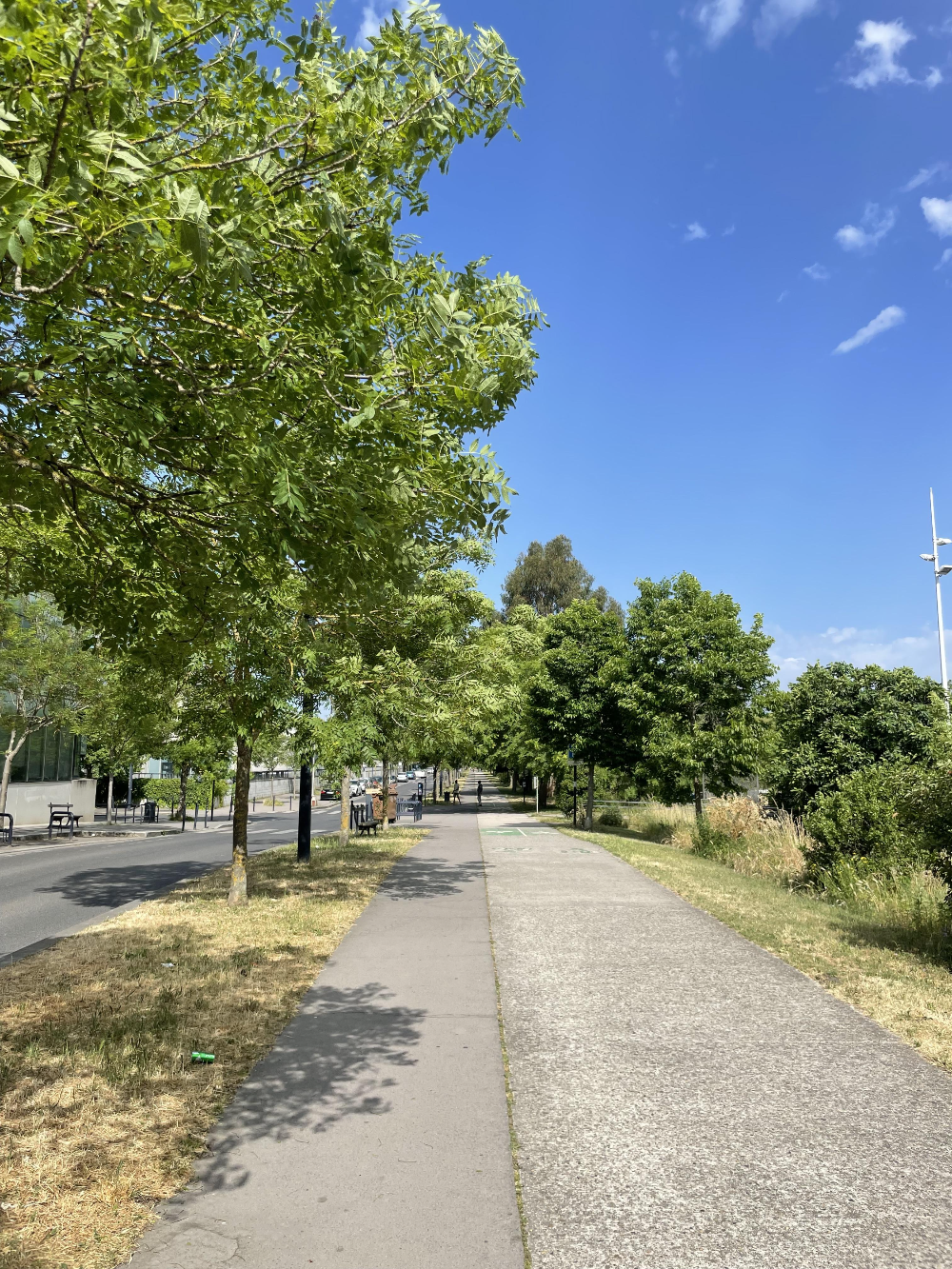 보르도 식물원 관람 마무리1