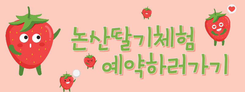 논산 딸기체험