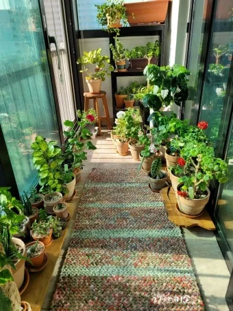 화분 베란다 단열 겨울철보온 커튼사용 찬바람차단 식물보호 요령_3