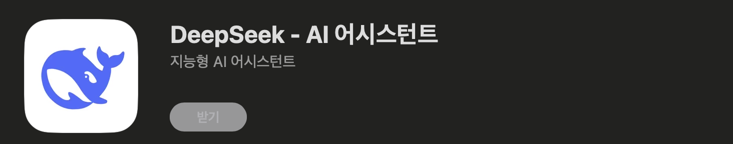 딥시크 R1