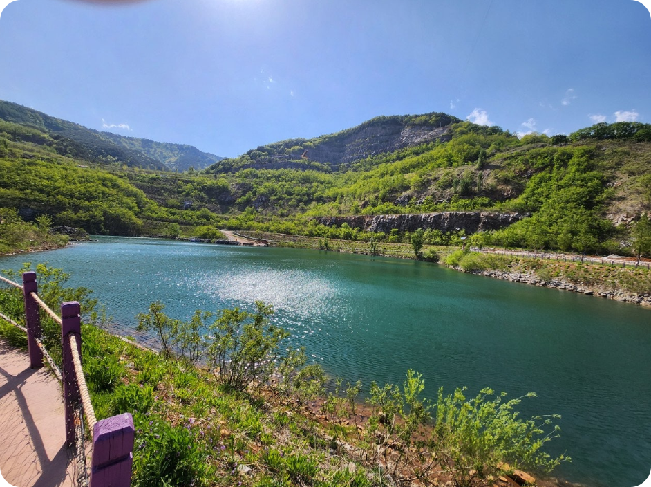 2025 강원도 동해 아이와 함께 가볼만한곳, 무릉별유천지, 라벤더 축제 총정리