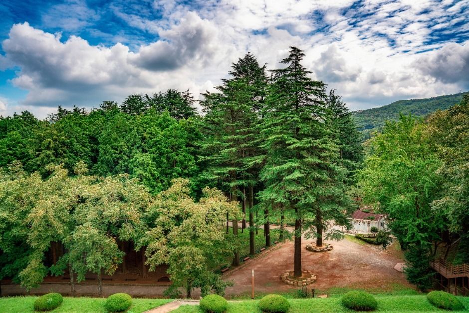 양산 가볼만한곳 베스트10