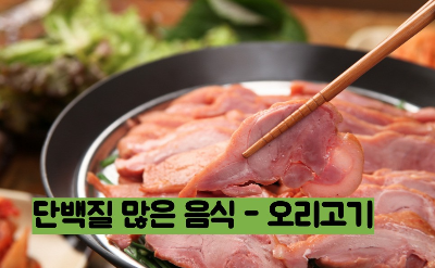 단백질 많은 음식