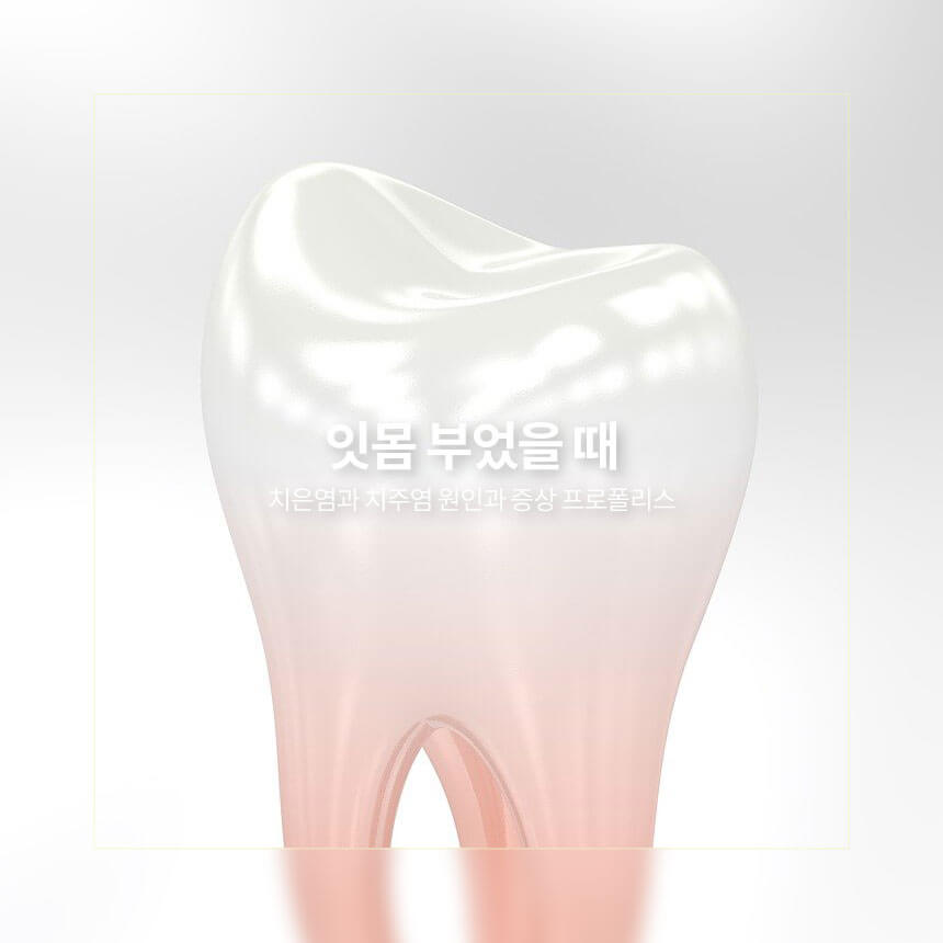 잇몸 부었을 때, 치은염과 치주염 원인과 증상