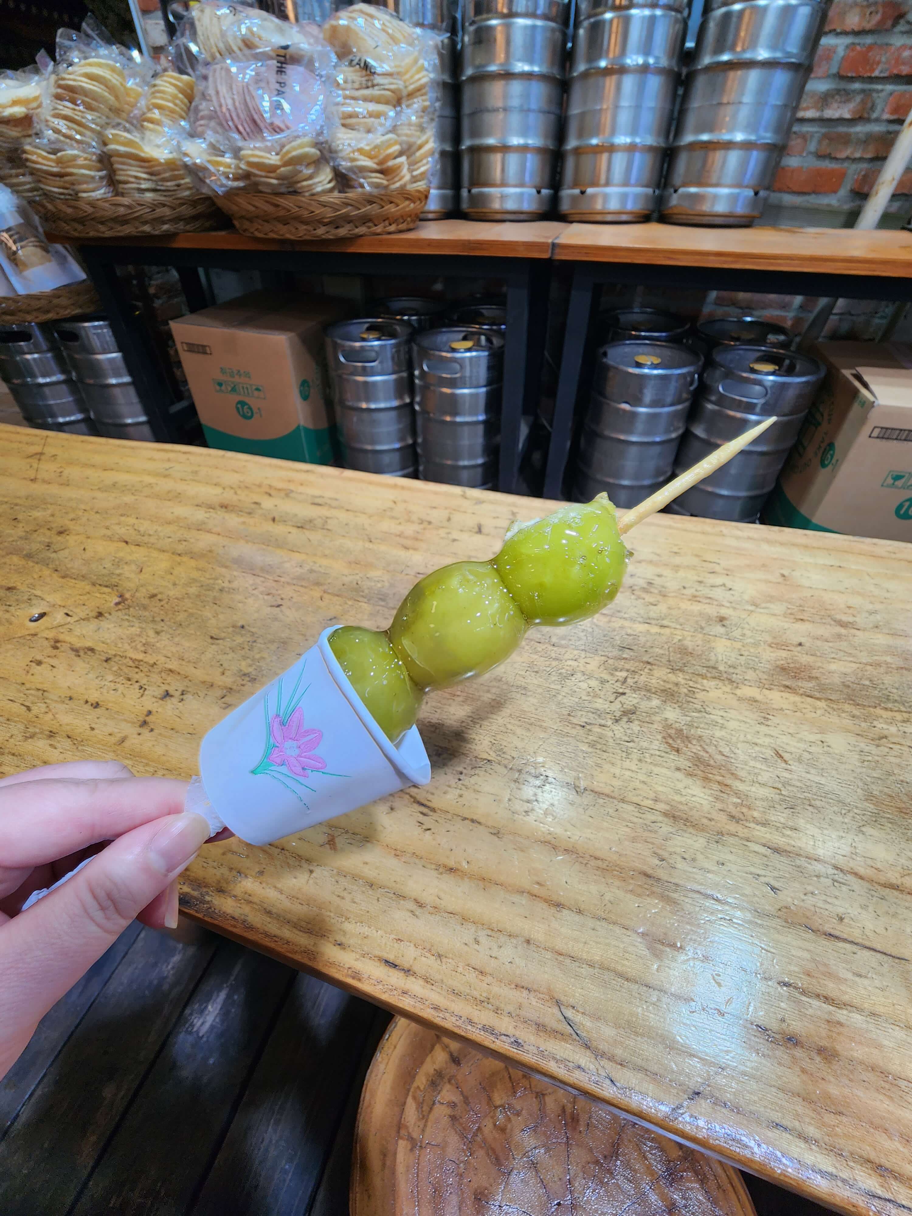 전주 애견동반 갈만한곳