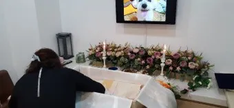 강아지 장례식장 비용 화장 무덤 법적 절차_17