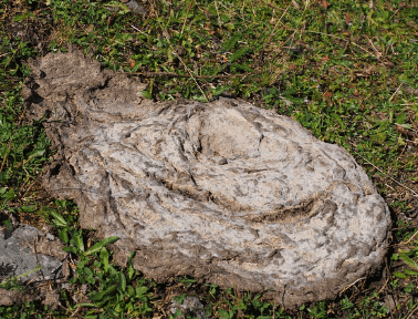 똥(대변)이 비처럼 내리는 꿈해몽 상징 이미지