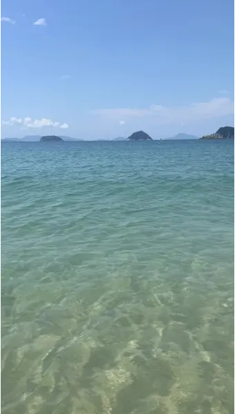 비진도 배시간표 예매 요금 배편 예약_19