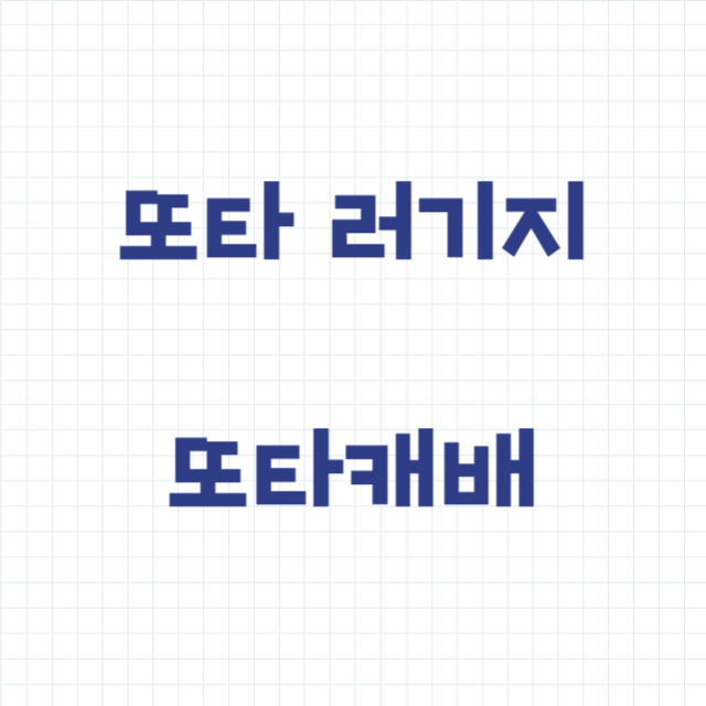 또타 러기지 캐리어 배송 또타캐배 방법 요금 운영 시간