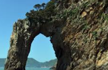 흑산도 홍어 가격