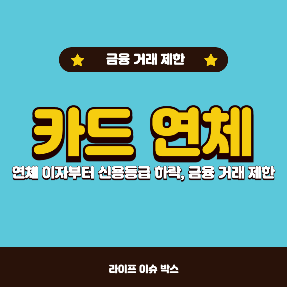 카드 연체