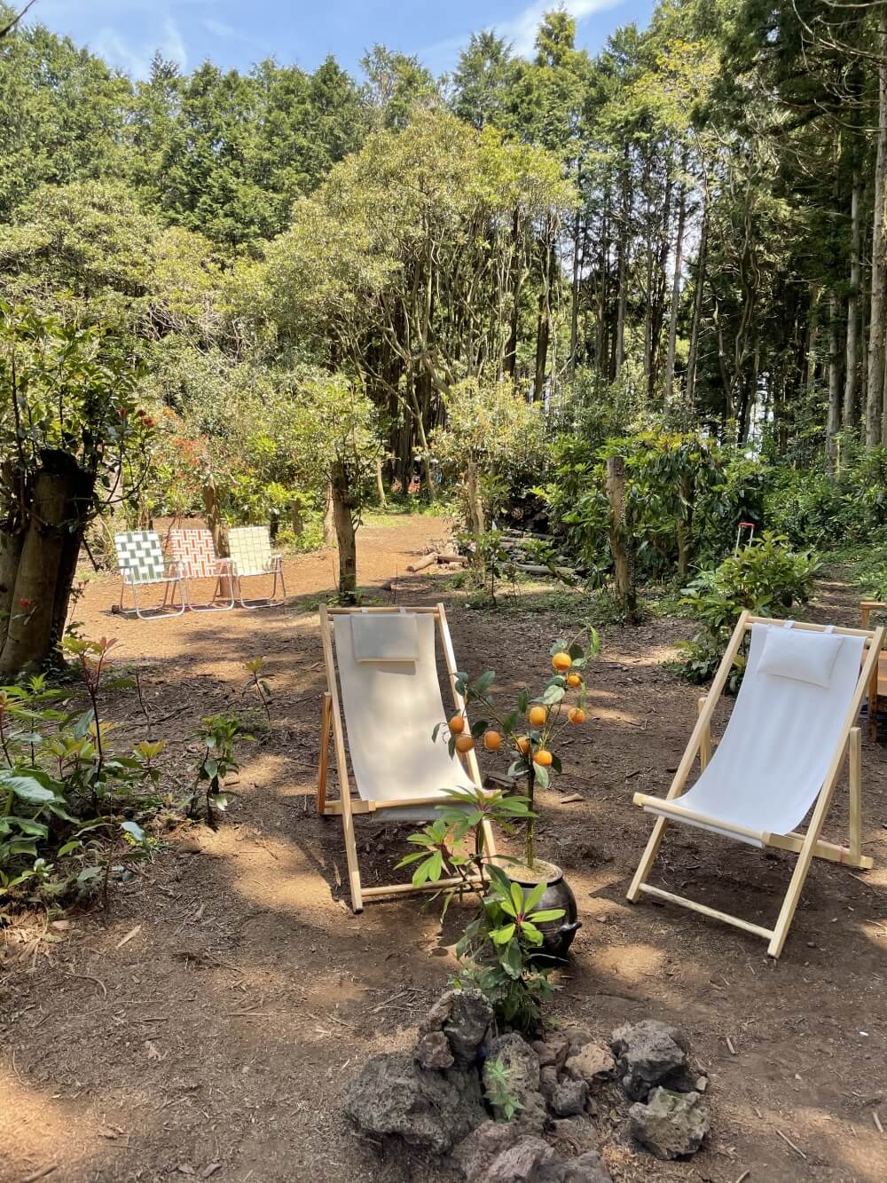 안돌오름-비밀의숲-포토존-정원