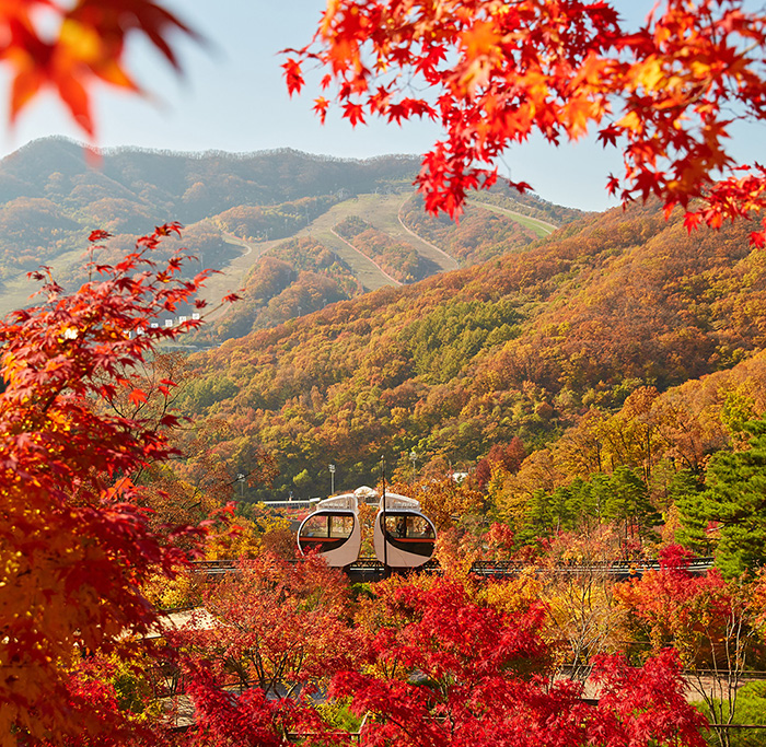 화담숲-예약-홈페이지-입장료-화담채-단풍-절정시기
