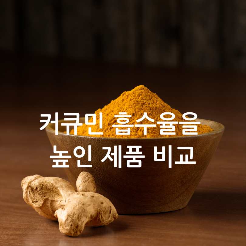 커큐민 흡수율 높인 제품