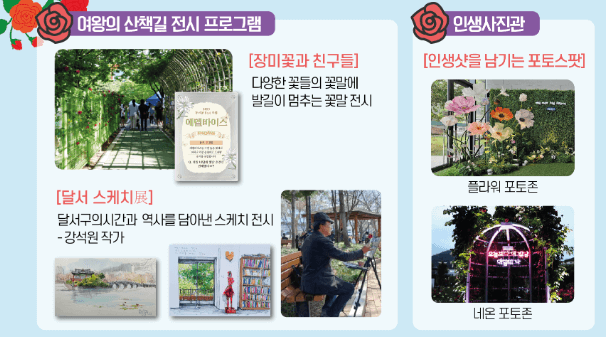 2025 대구 장미축제 이곡장미공원