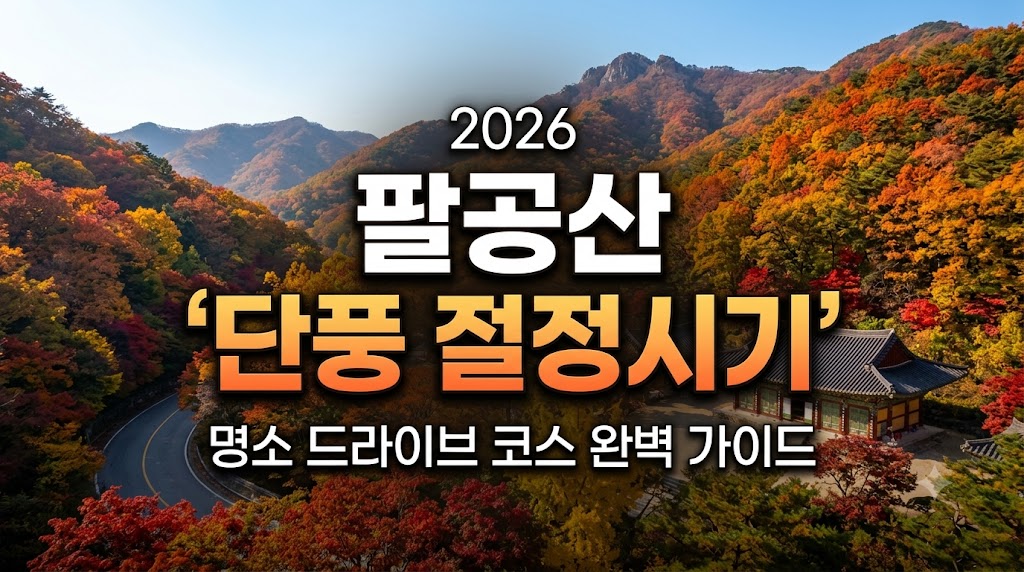팔공산 단풍 절정시기