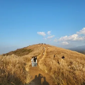 제주 새별오름 오르기 좋은 시간과 주변 명소 정리_6