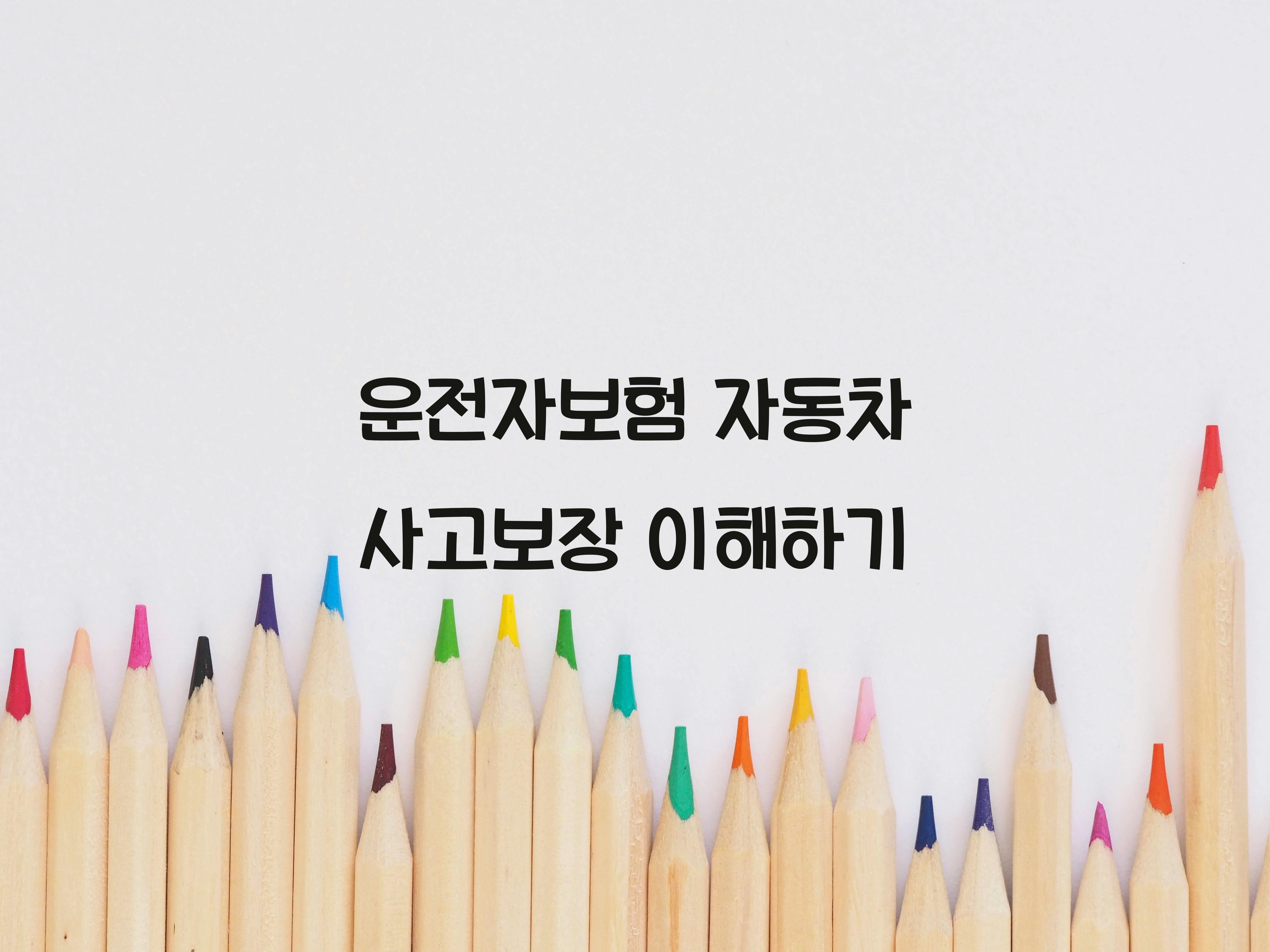 운전자보험 자동차 사고보장