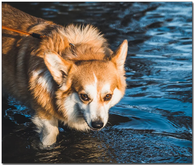 ๋ฌผ์์ ๋๊ณ ์๋ ์ฐ์์ฝ๊ธฐ