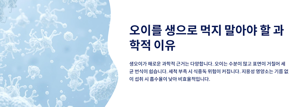 오이를 생으로 먹지 말아야 할 과학적 이유