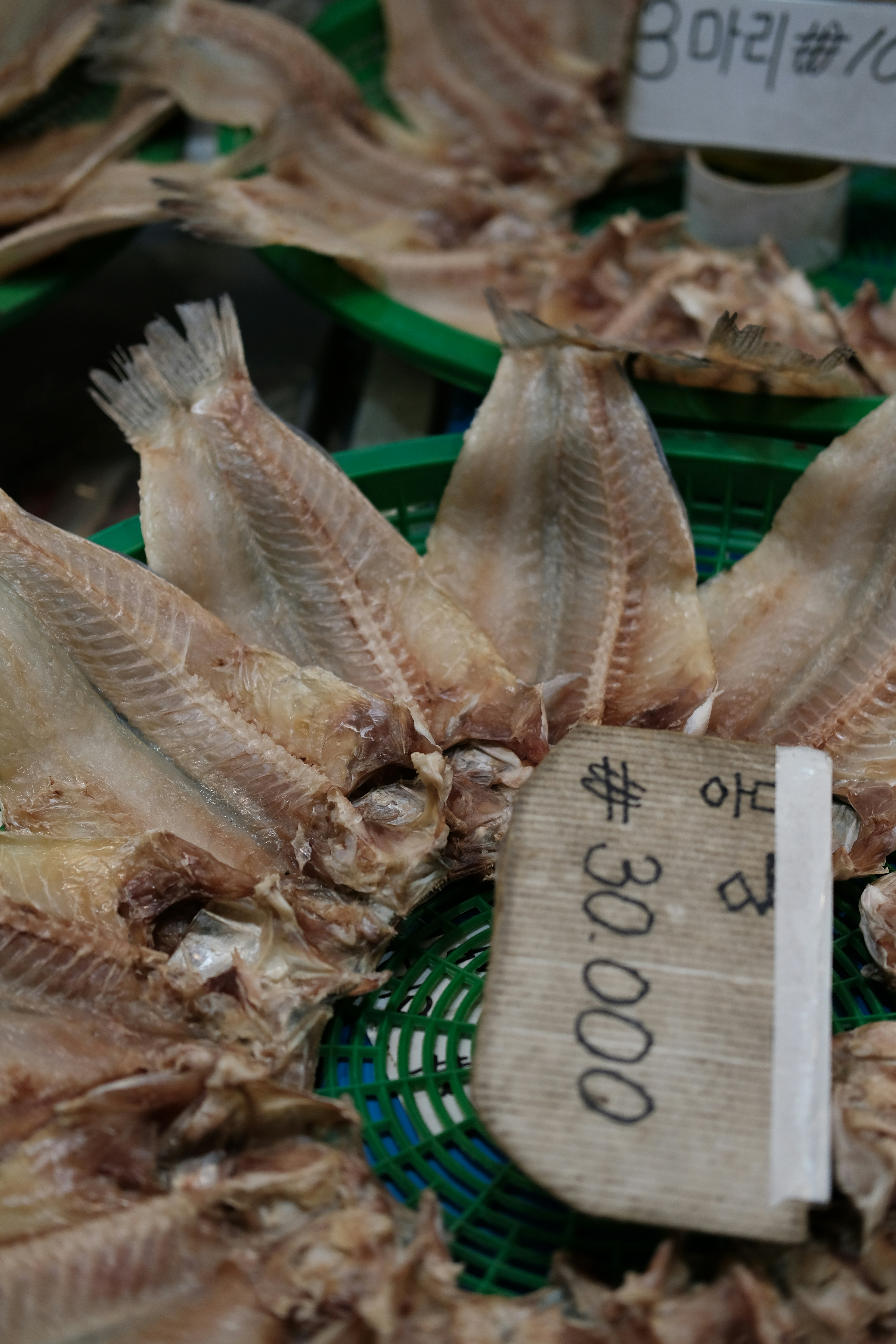 설날 제주도 여행 &amp;#124; 따뜻한 휴양지에서 보내는 특별한 명절