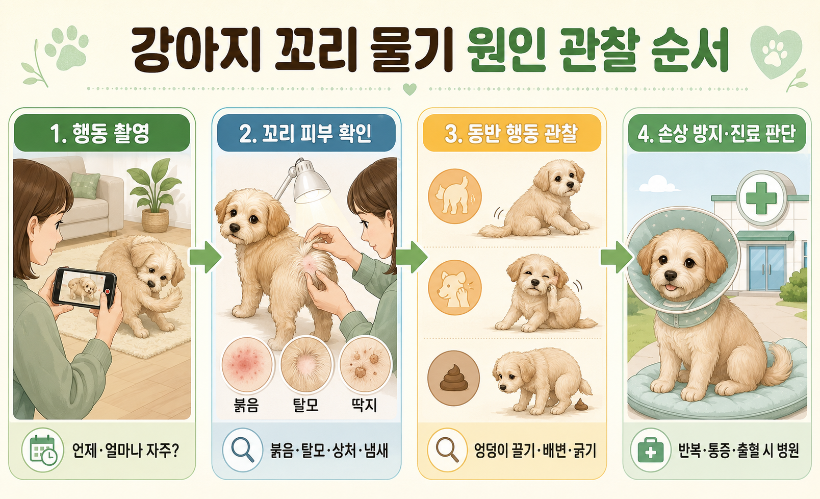 강아지 꼬리 물기 원인을 확인하는 관찰 방법과 피부 상태 확인 순서를 설명하는 이미지