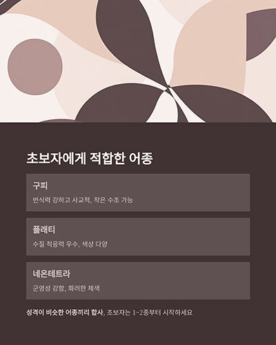 어종 선택: 초보자에게 적합한 종부터 시작