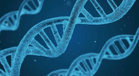 소아조로증 원인