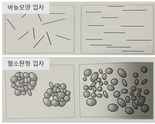 바늘 및 혈소판 모양의 입자 모양