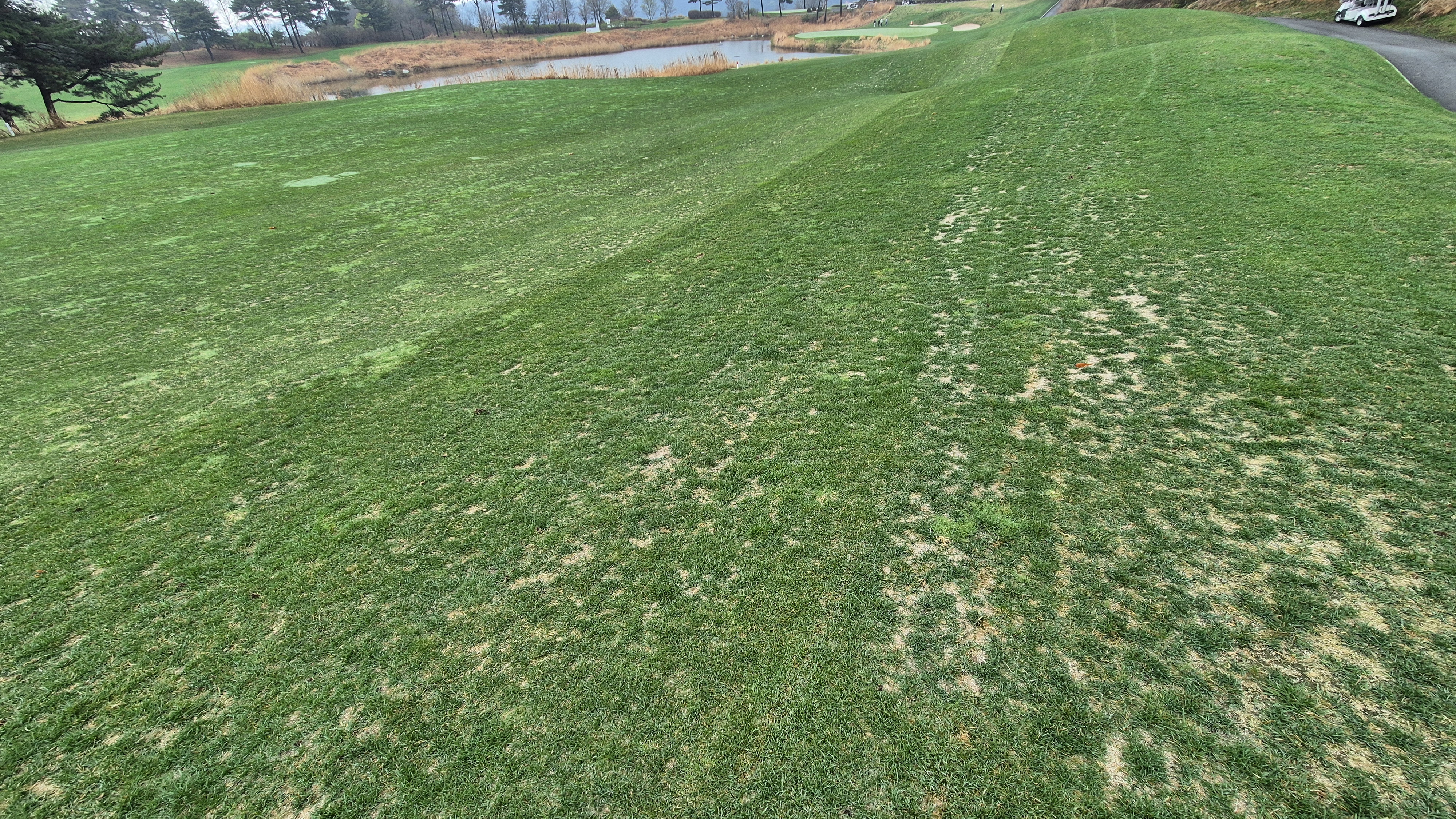 레인보우힐스cc 동-남 코스 난이도