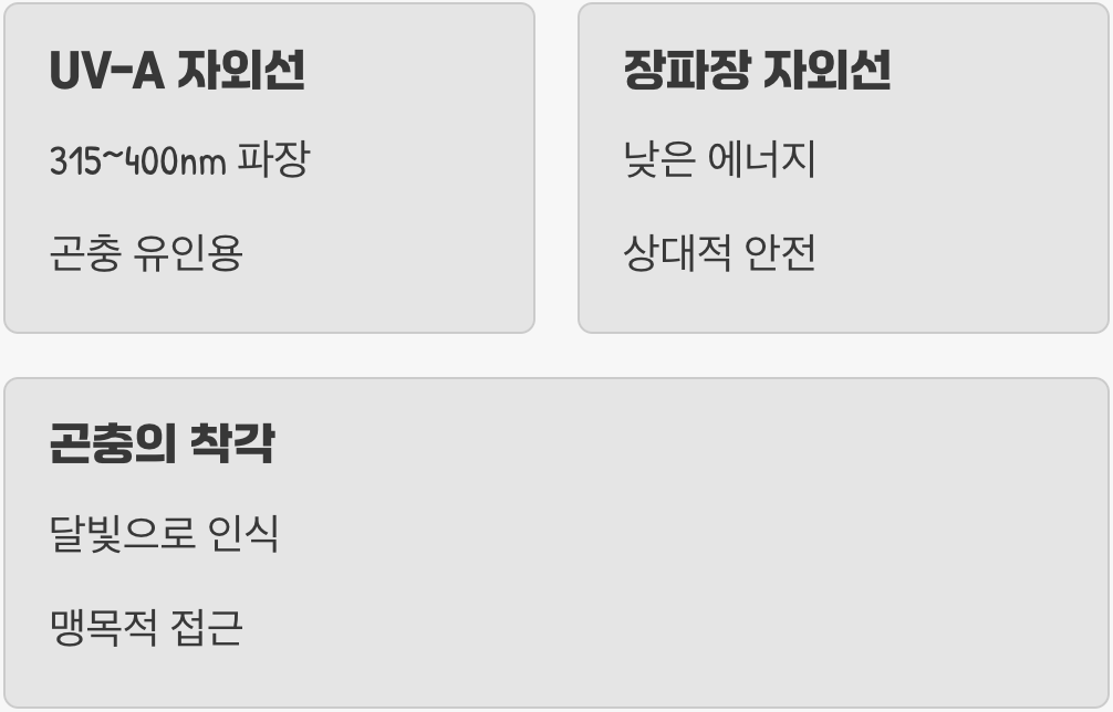 푸른빛의 정체, '자외선 램프(UV-A)'