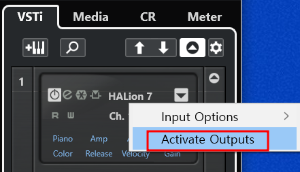 Actavate Outputs을 선택