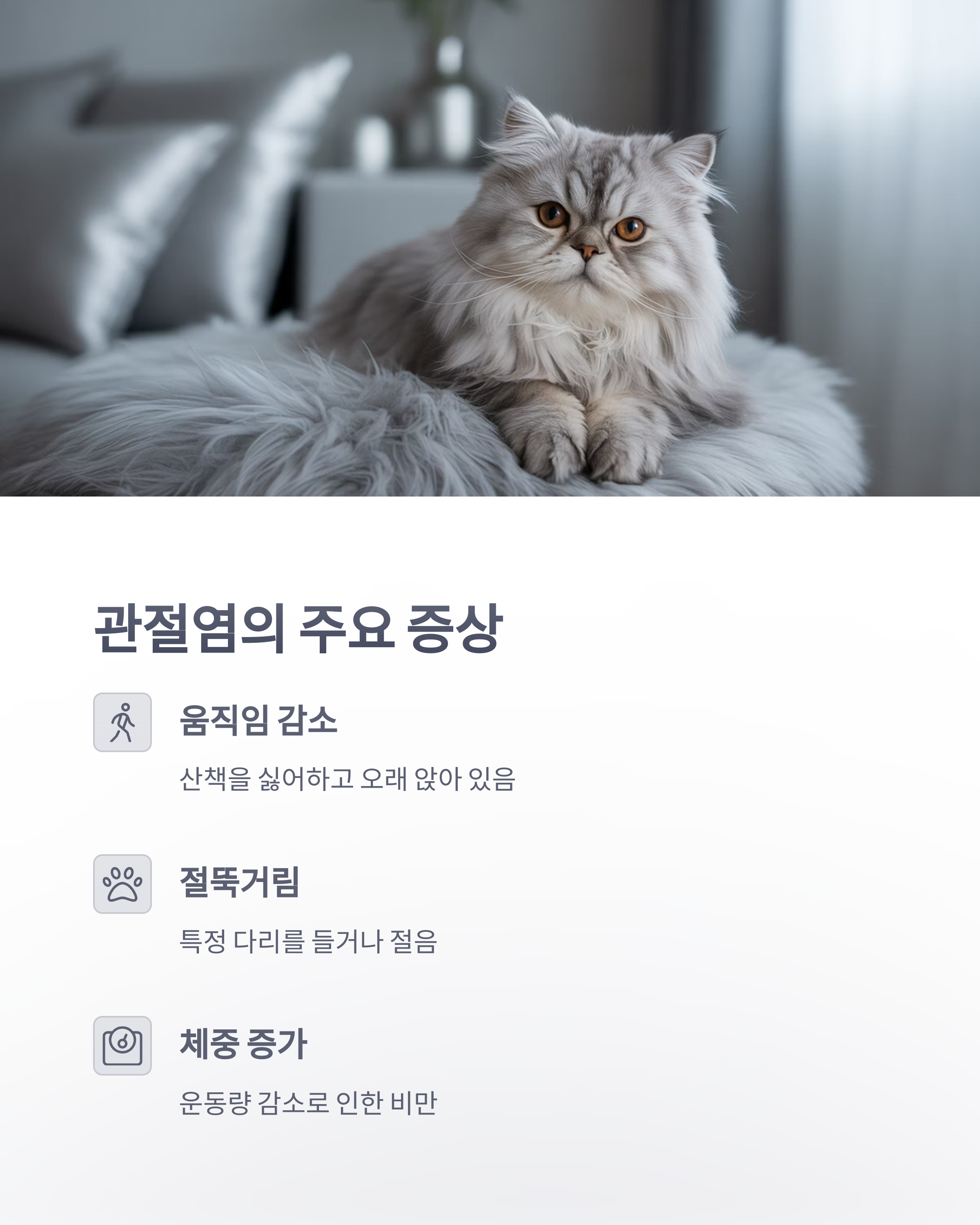 참조-반려동물-관절염-2