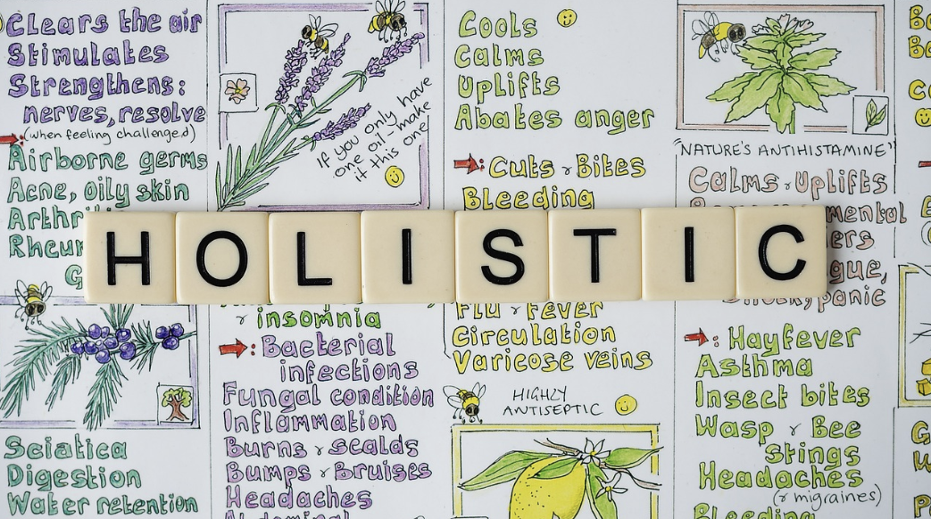 다이어트 보조제 성분