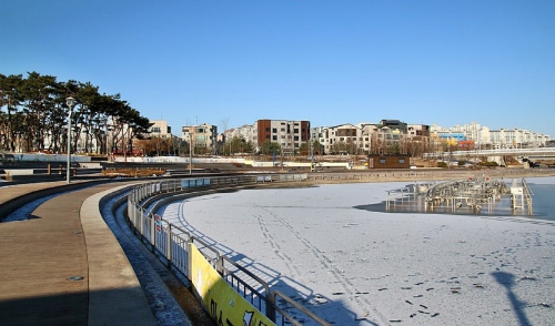 김포 반려견 겨울 나들이 명소, 강아지와 함께 산책하기 좋은 곳 추천