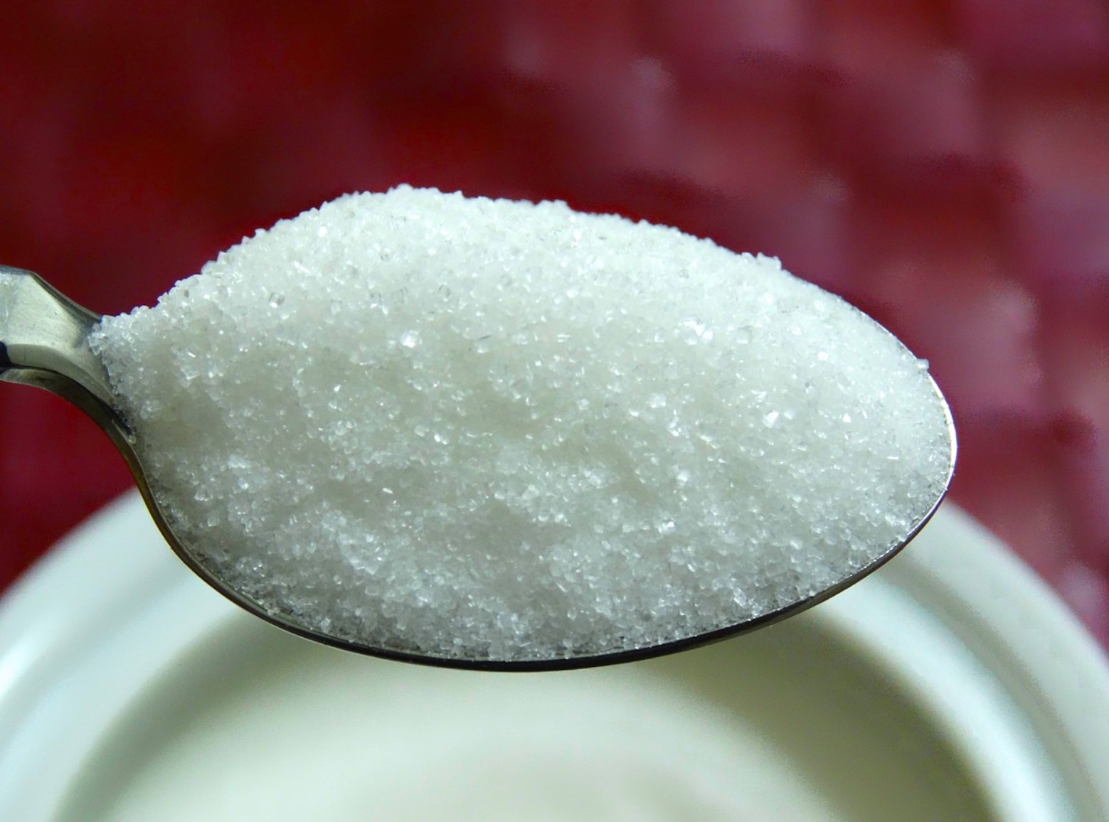 2024 스테비아 설탕사진