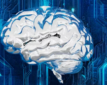 뇌졸중에 좋은 음식 영양제 식단