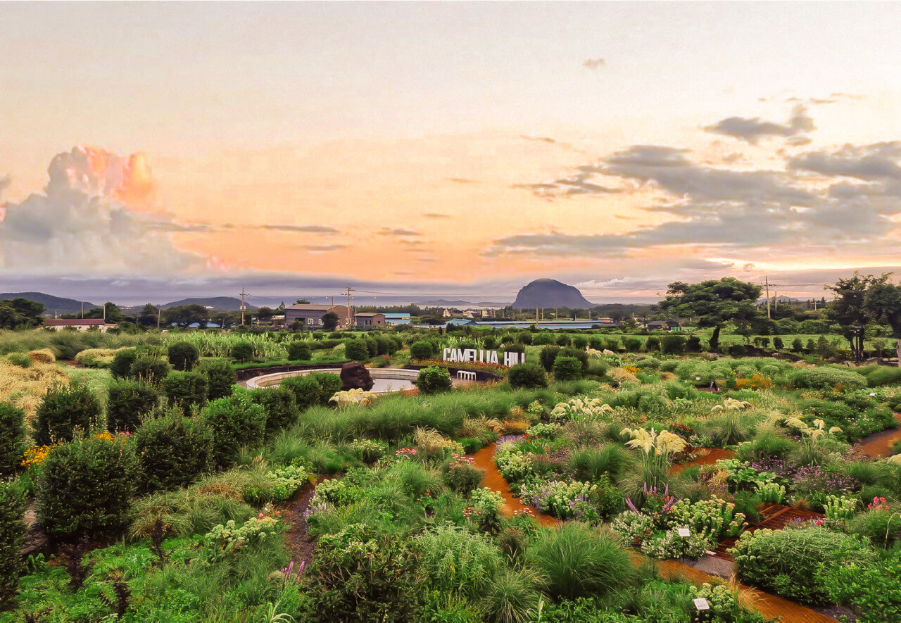 제주여행 카멜리아힐, 감성 포토존과 체험 프로그램, 제주 서남부 감성 여행 코스 추천