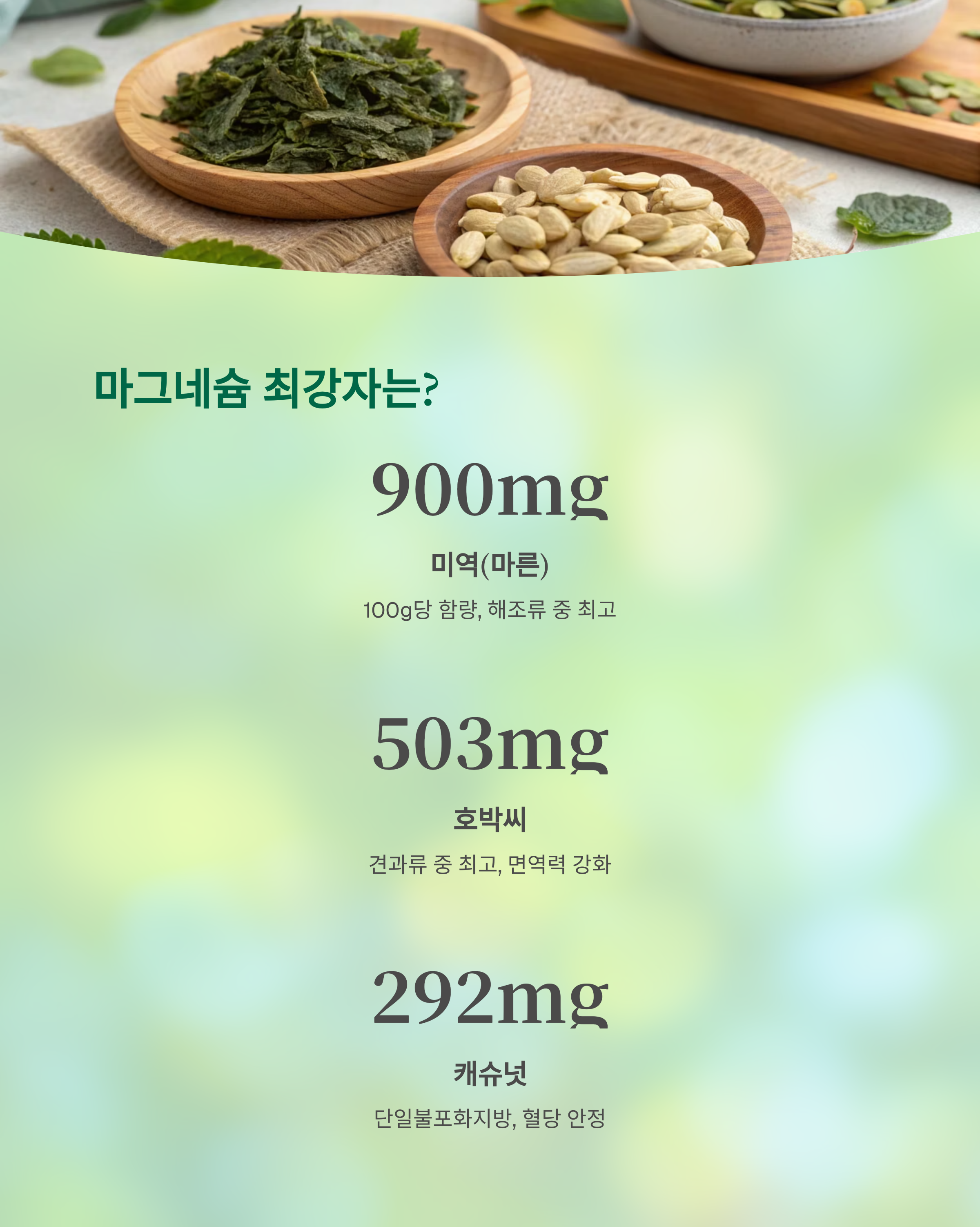 마그네슘 최강자는?