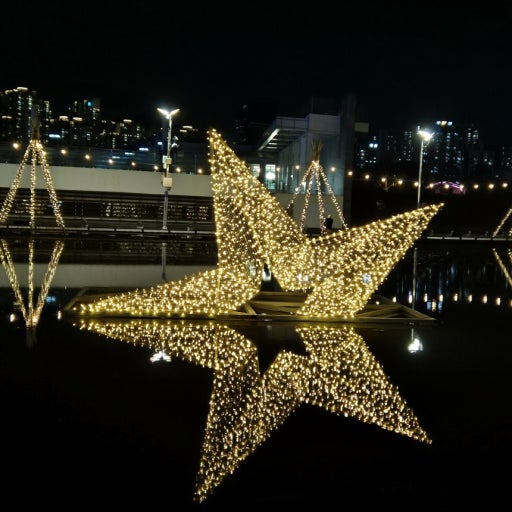 전국 크리스마스 축제