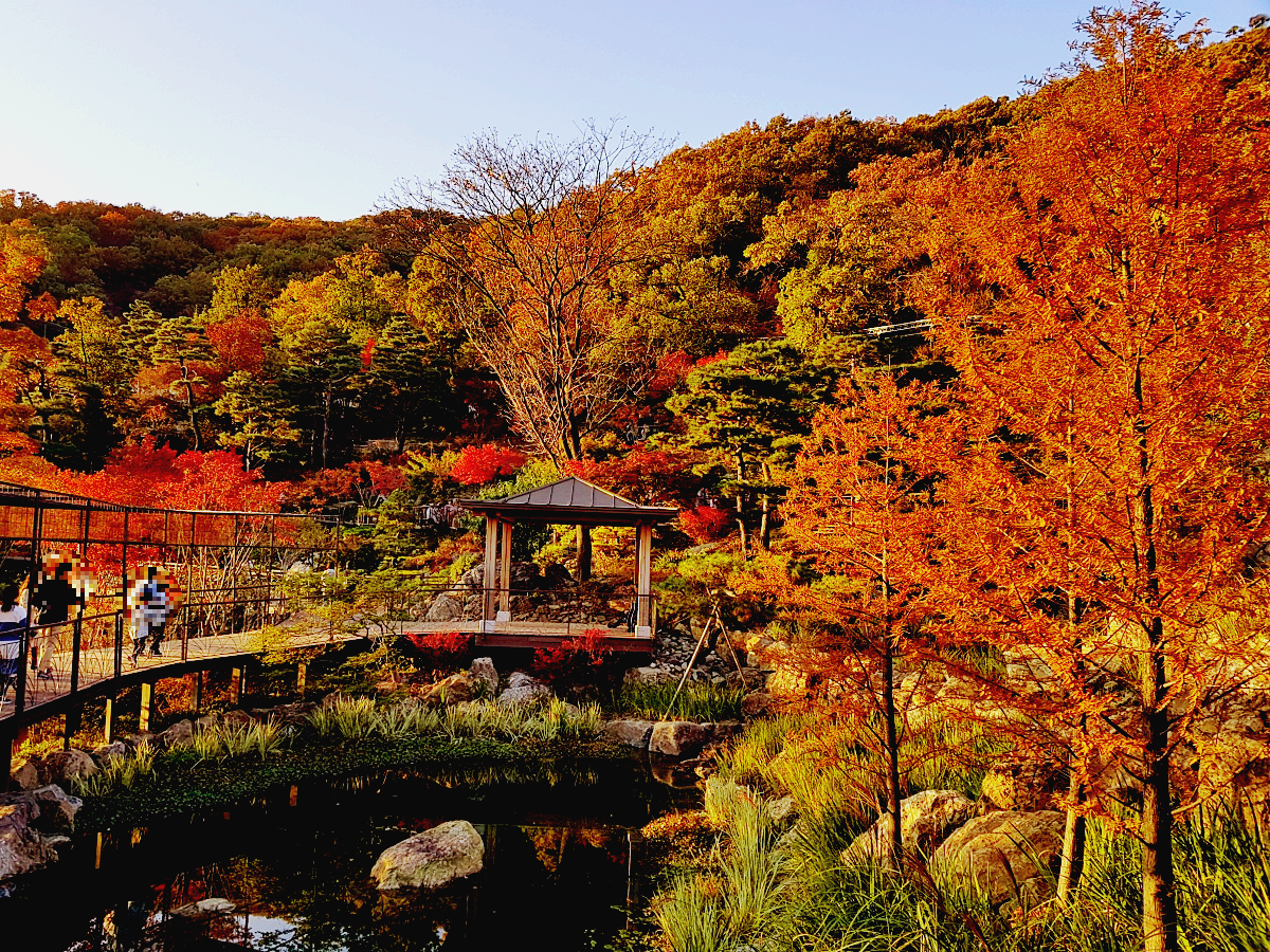 경기도 광주 곤지암 화담숲 단풍시즌, 가을 풍경 퍼레이드와 주변 맛집