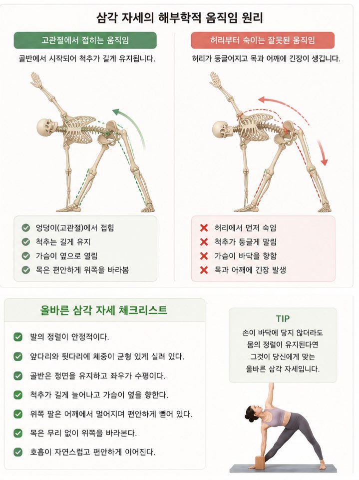 요가 해부학으로 이해하는 삼각 자세: 몸을 옆으로 숙이는 자세가 아닙니다
