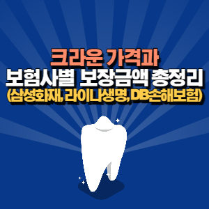 치아 보험 크라운