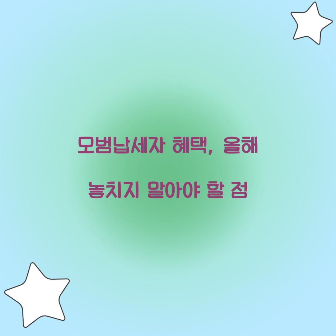 모범납세자 혜택