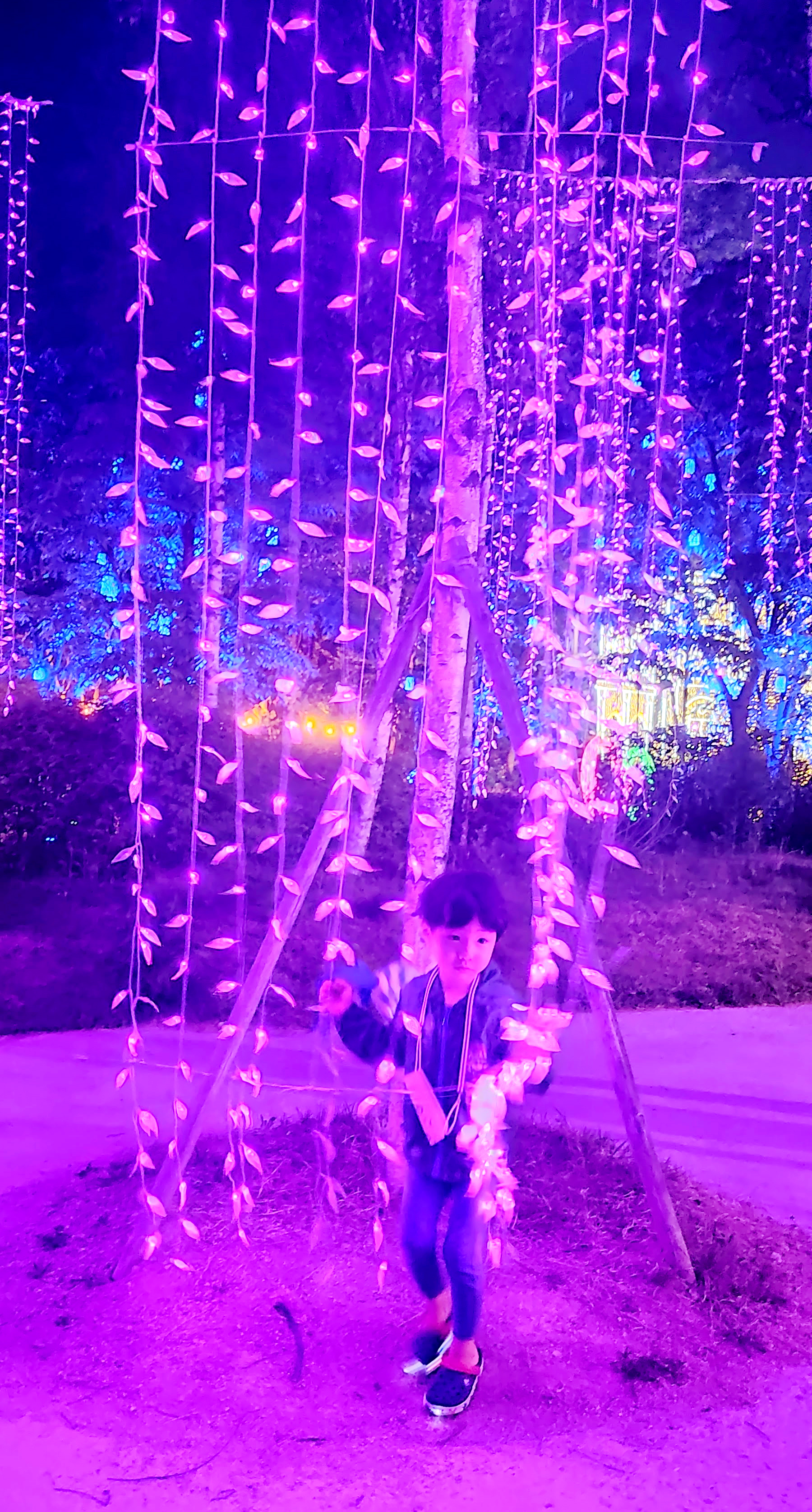 오로라같은 바이올렛 판타지